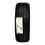 Pneu 195/50R16 Dunlop Direzza DZ102 84V