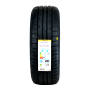 Pneu 195/55R15 Dunlop Direzza DZ102 85V